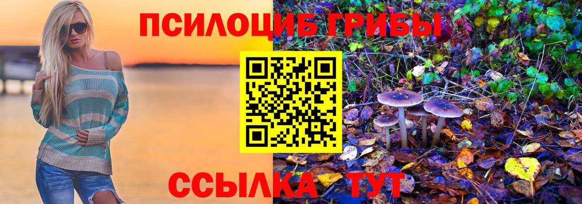 Артёмовский  Псилоцибиновые грибы Magic Shrooms  Вход с VPN 