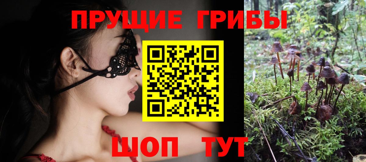 Псилоцибиновые грибы мицелий Артёмовский