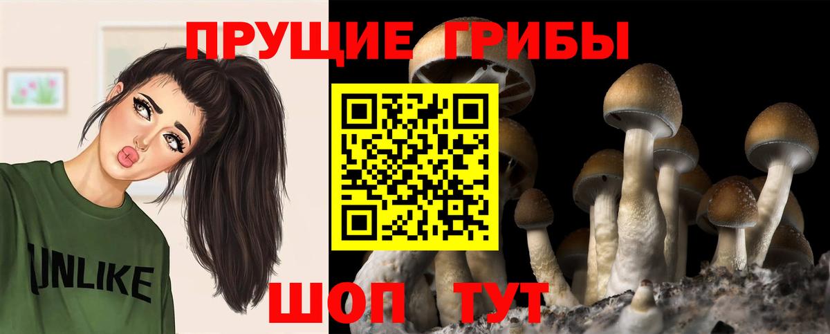 наркотики  Артёмовский  Галлюциногенные грибы прущие грибы 